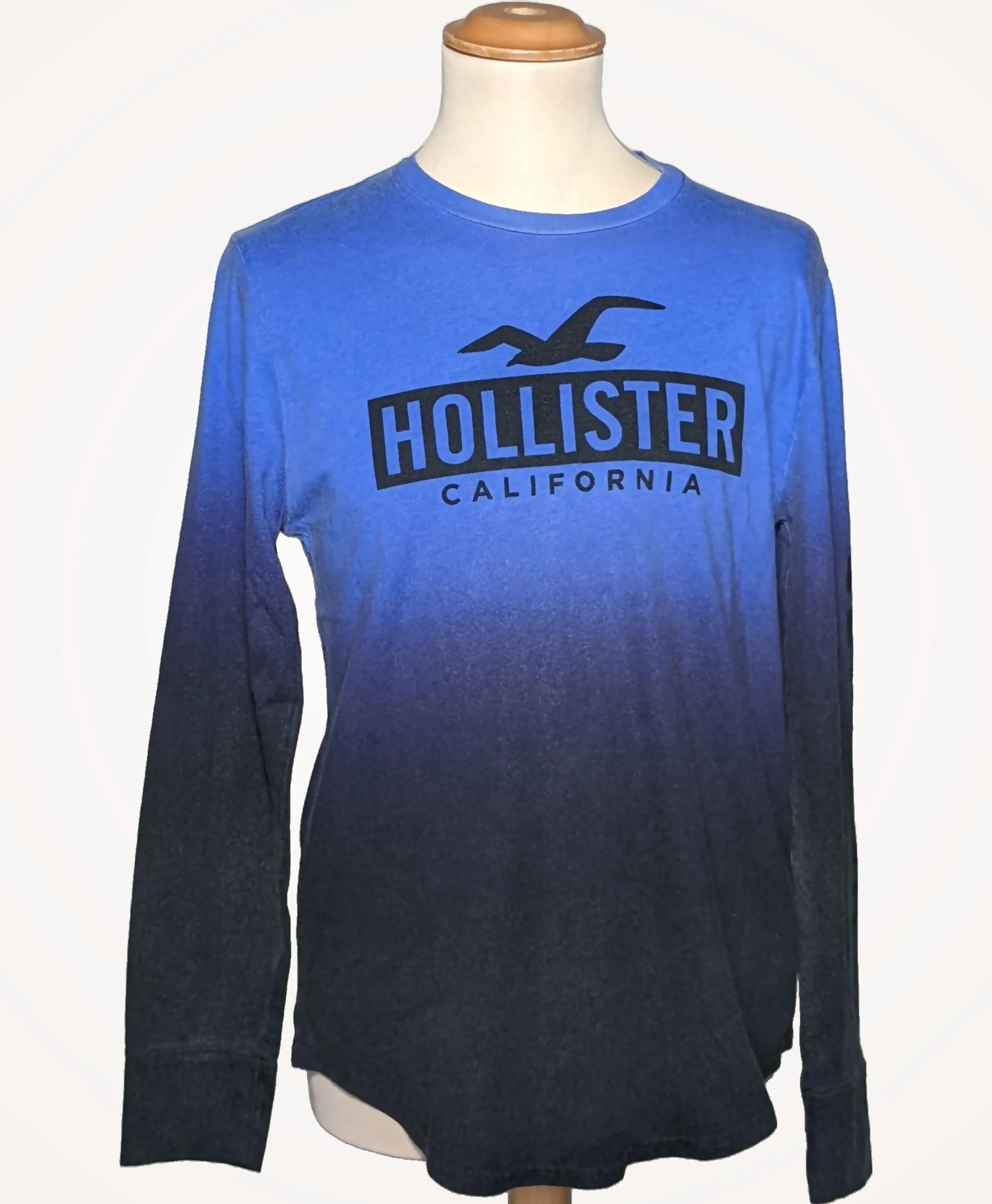 HOLLISTER - Image 3